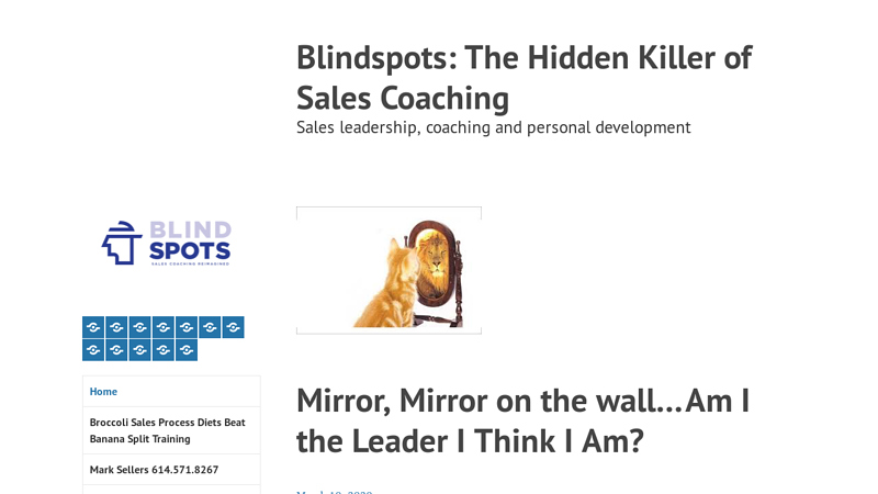 Blindspots: The Hidden Killer of Sales Coaching C Sales leadership, coaching and personal development