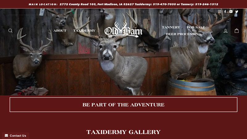 Taxidermy & Tannery C Old Barn Taxidermy & Tannery