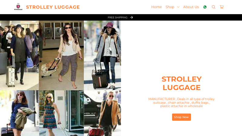 Wholesale | STROLLEY LUGGAGE | New Delhi