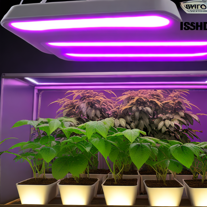 led grow lights china