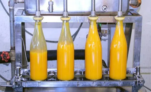 Fruit Juice Filling Machine in China