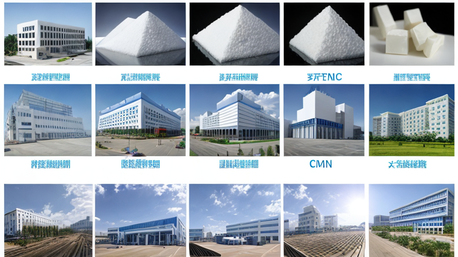 Top Calcium Formate Manufacturer Companies in China