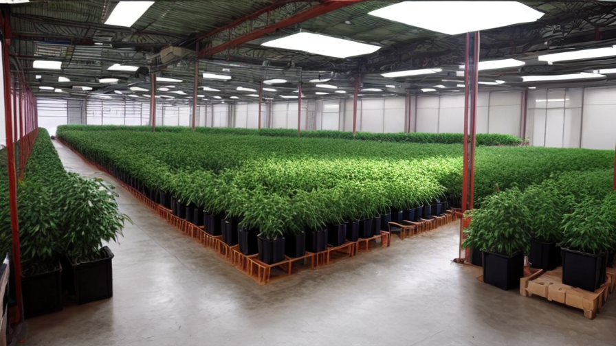 Top Grow Bag Supplier Companies in China