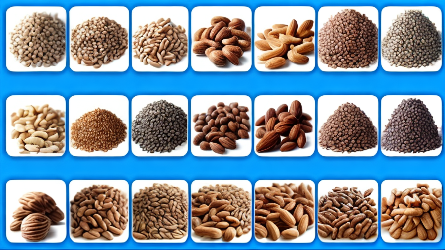 Top Nut Manufacturer Companies in China