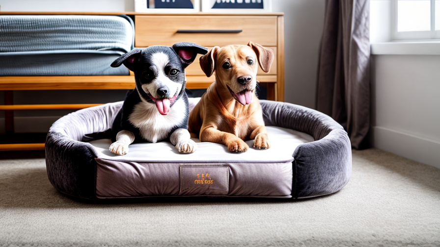 Top Pet Bed Manufacturer Companies in China