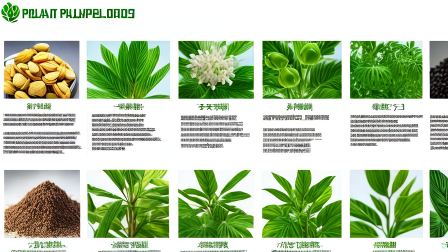 Top Plant Extracts Manufacturer Companies in China