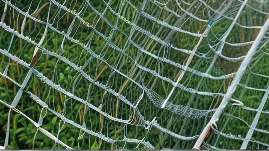 Top 10 Hail Net Supplier companies in China